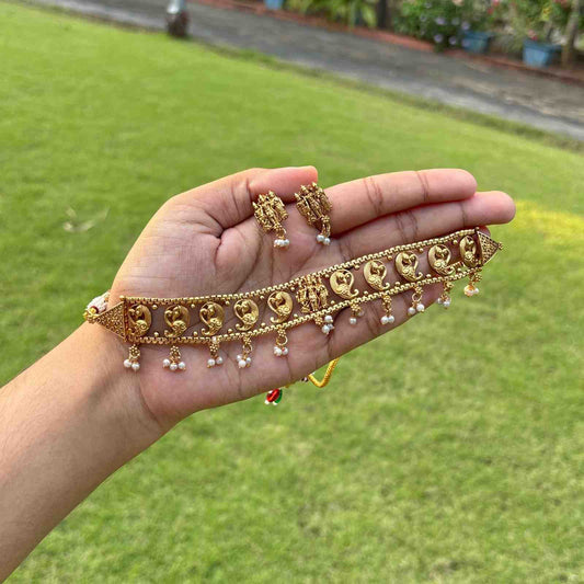 Premium Look Peacock pattern Temple collection chocker with Earring N0254-D35