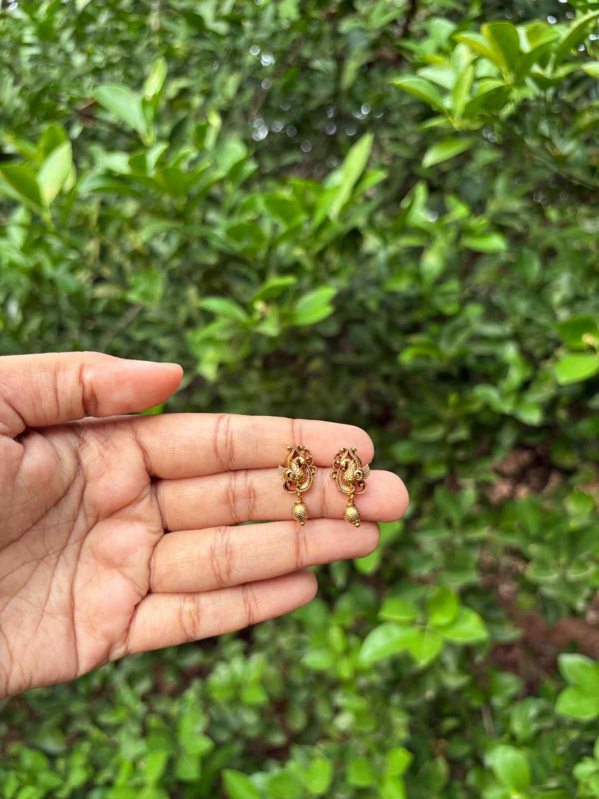 J0161 Peacock Stud